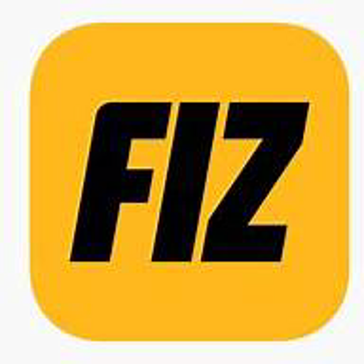 FIZ: Financial Assistant 24/7